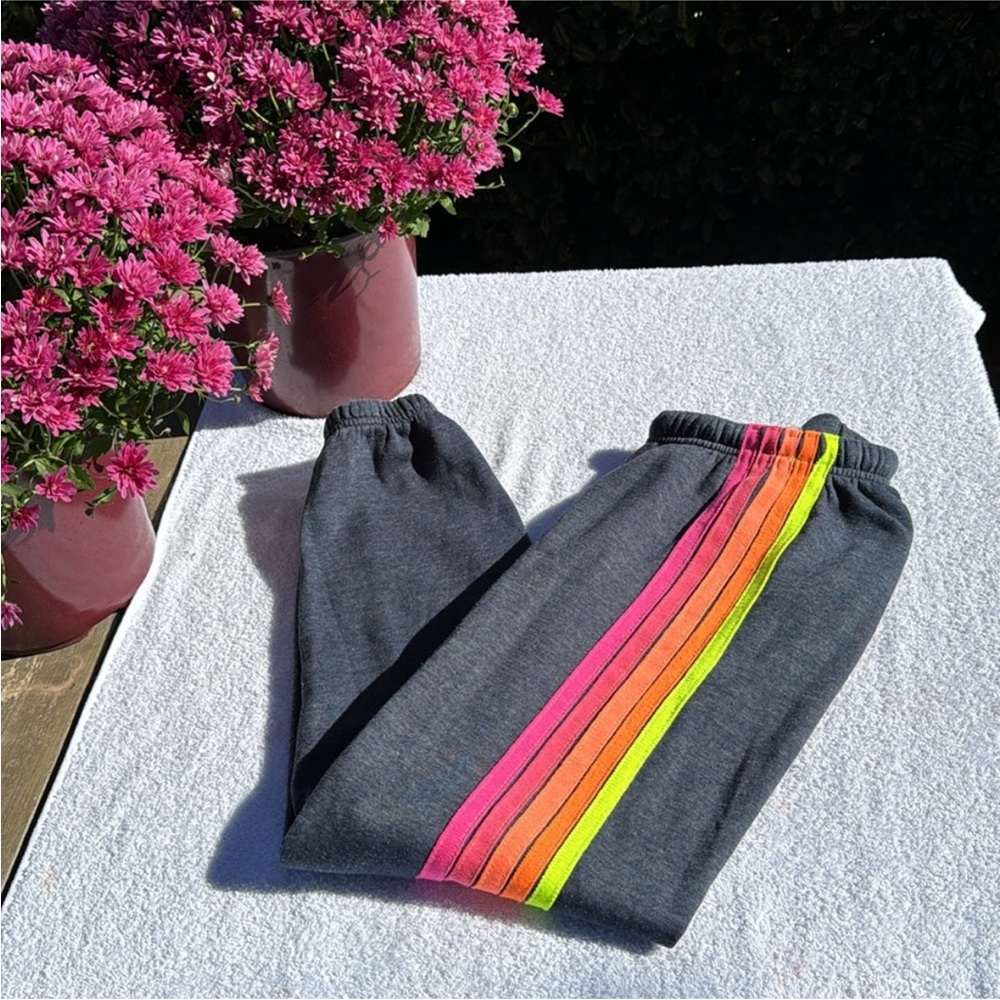 Aviator Nation XL coziest sweatpants